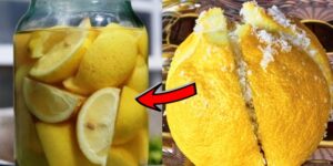 limão e hortelã para emagrecer dormindo