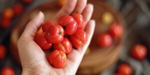 acerola é uma fruta rica em vitamina C