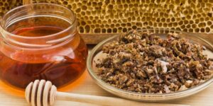 beneficios da propolis para aumentar sistema imunologico