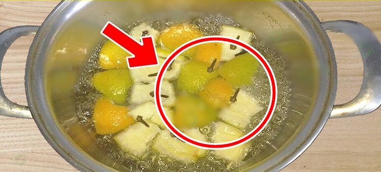 Limão com gengibre: Como usar para Derreter a Gordura da Barriga
