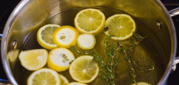 infusão de limão para perder peso