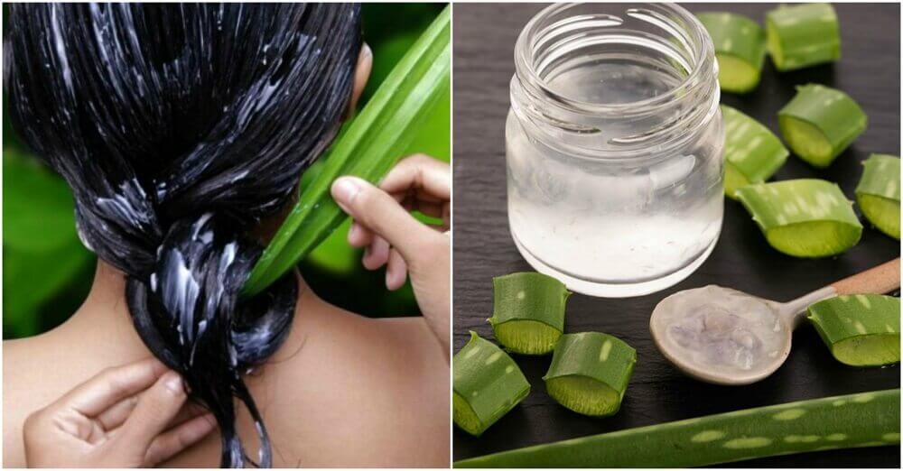 aloe vera para eliminar a caspa