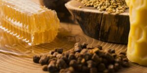 beneficios do propolis para o sistema imunologico