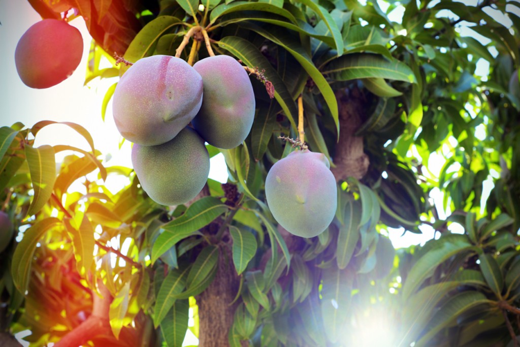 frutas ricas em vitamina C