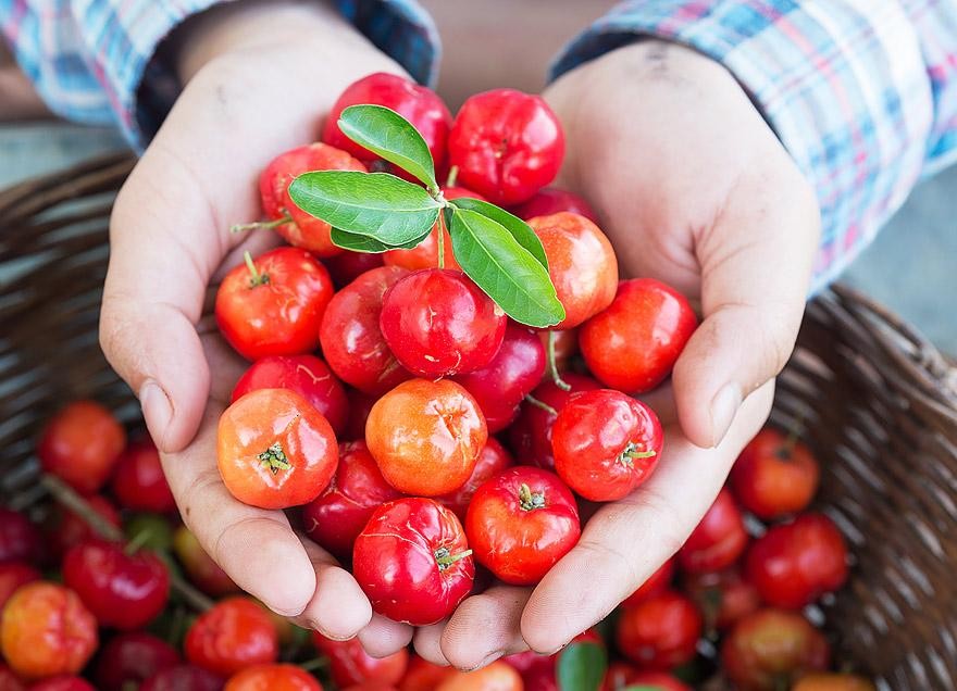 frutas ricas em vitamina c 9