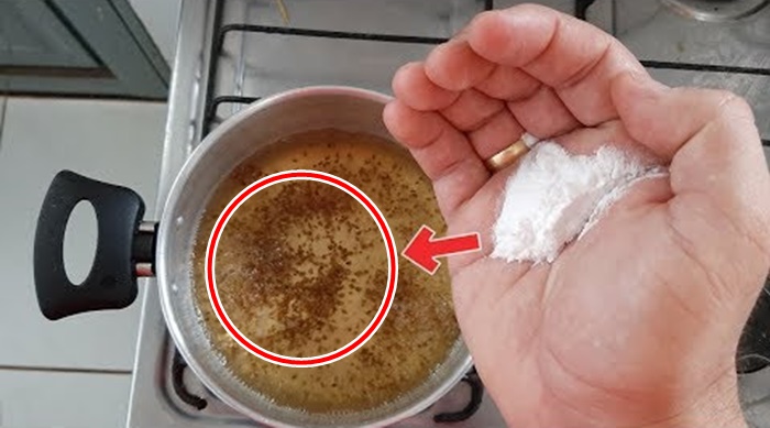 receita de cha para emagrecer