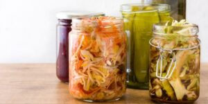 alimentos fermentados