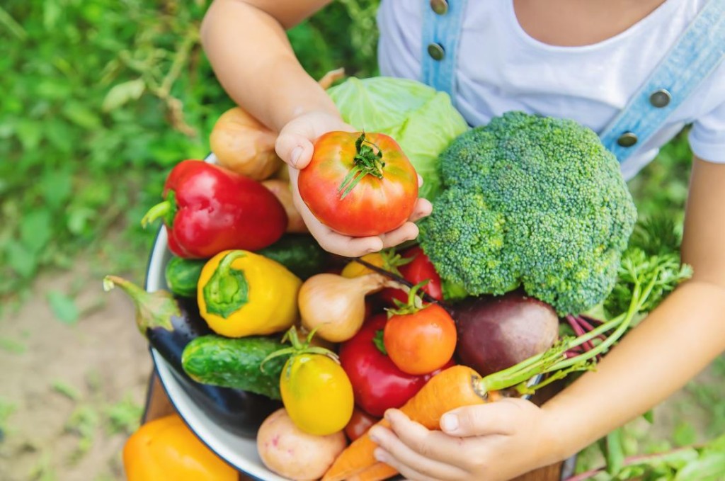 alimentos que ajuda aliviar os sintomas de resfriado