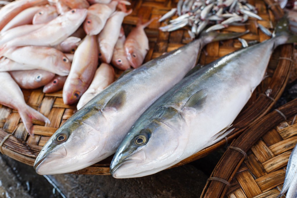 peixe causa intoxicação alimentar