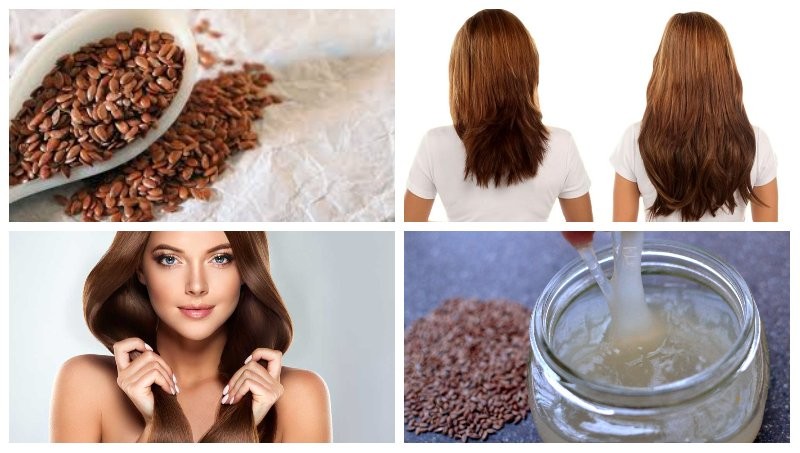 beneficios da semente de linho para ter cabelos saudaveis