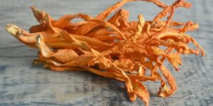 benefícios do cordyceps