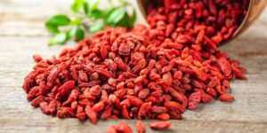 benefícios do goji berry para quem trabalha na frente do computador