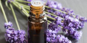 beneficios do oleo essencial de lavanda