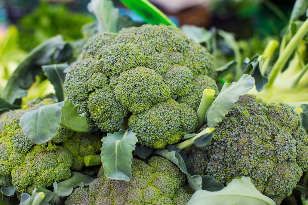 brócolis é rico em nutrientes para o cérebro