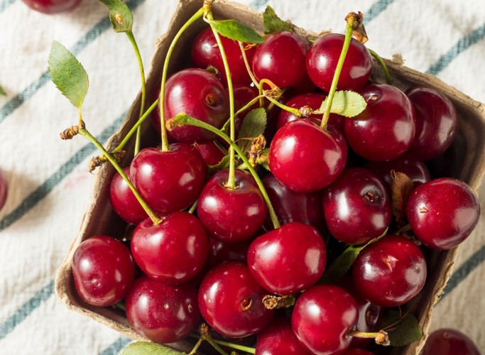 cerejas para perder peso