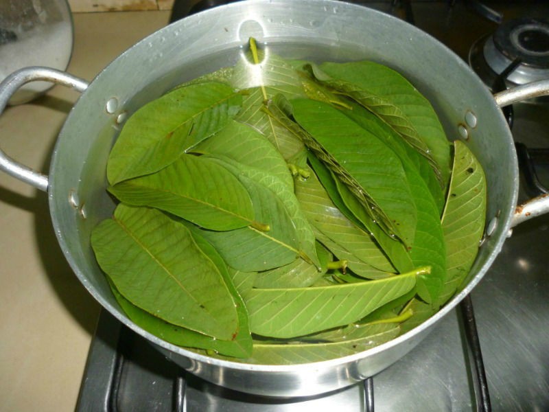 Chá da folha de goiaba para queimar gordura (receitas e dicas)