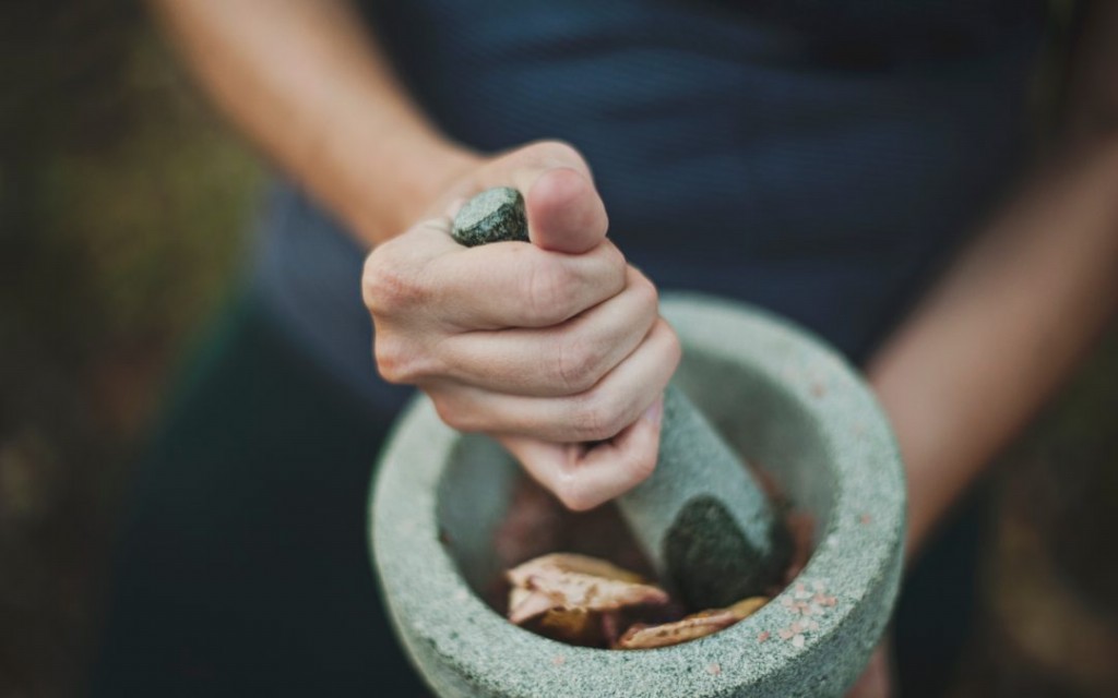 como usar o astrágalo para impulsionar o sistema imunológico