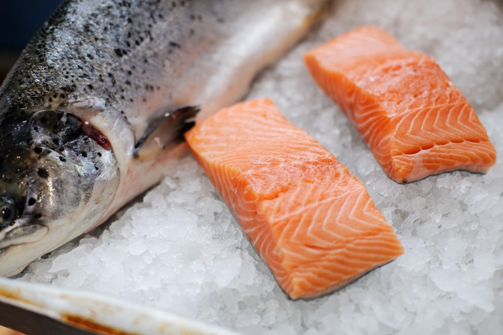 consumir salmão pode prevenir a doença de alzheimer