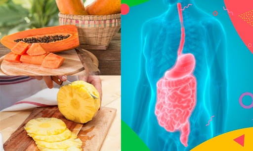 enzimas digestivas para refluxo