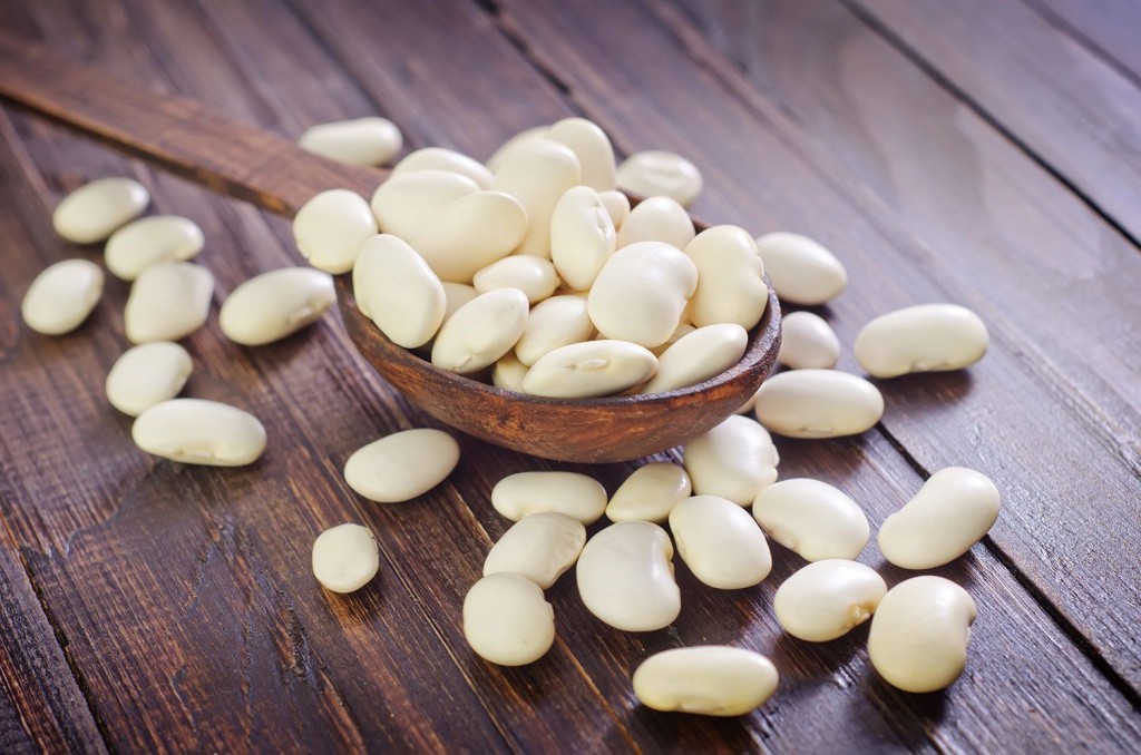 feijao marinho e rico em proteinas e baixo teor de gordura