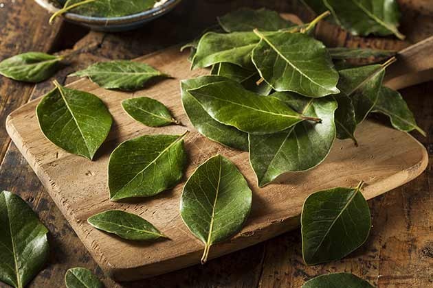 folhas de louro para adicionar na dieta