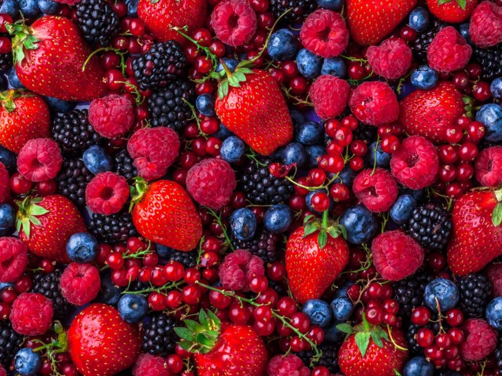 frutas vermelhas reduz risco de trastorno mental