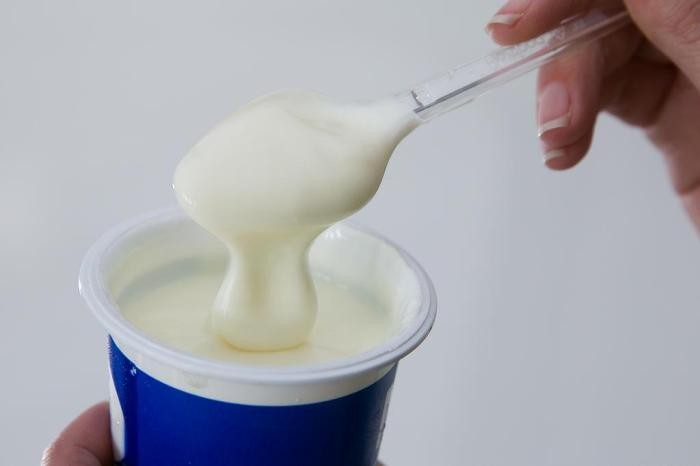 iogurte para melhorar o intestino
