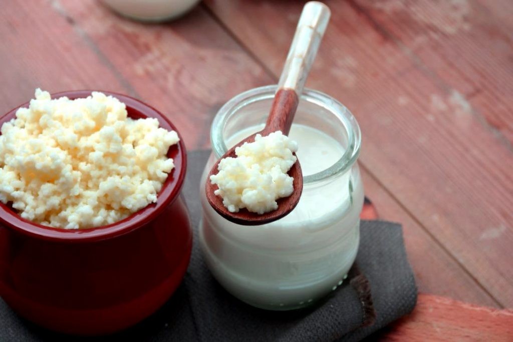 kefir e um alimento fermentado