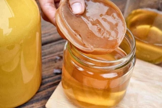 kombucha para melhorar o intestino