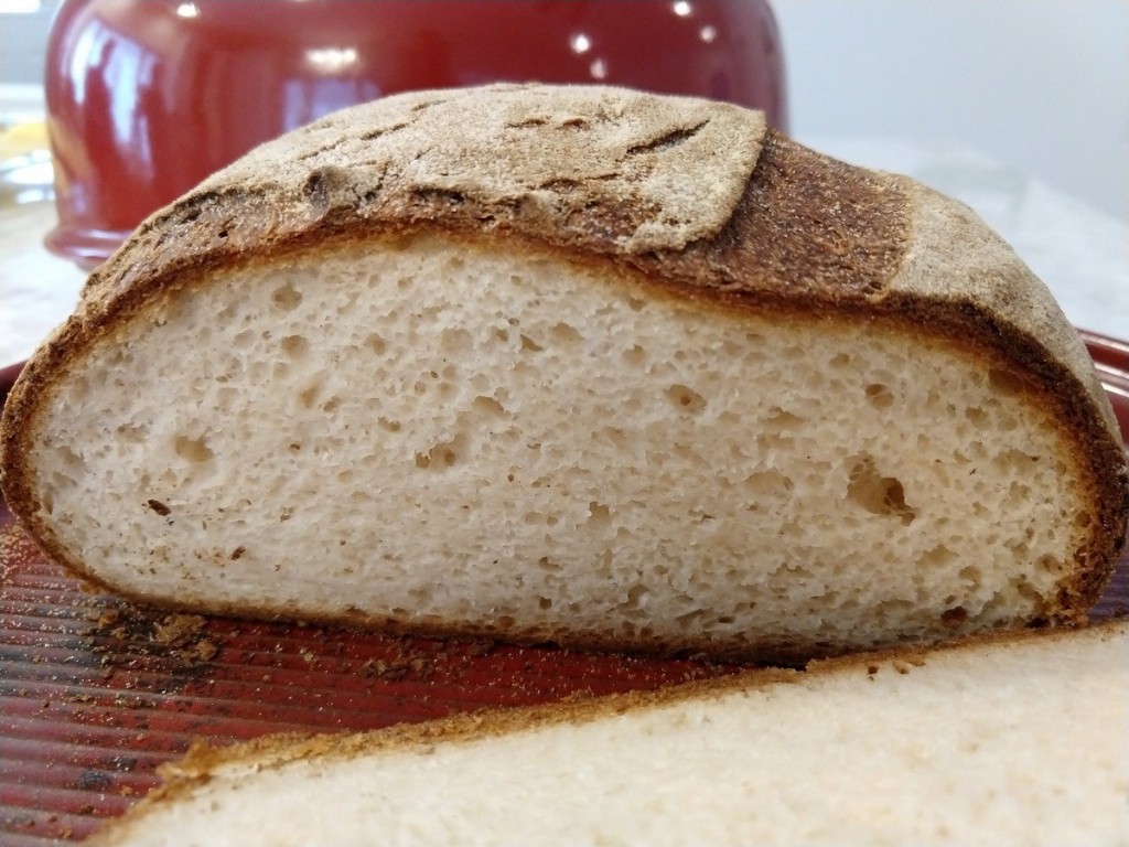 é preciso evitar pão sem glúten após os 40