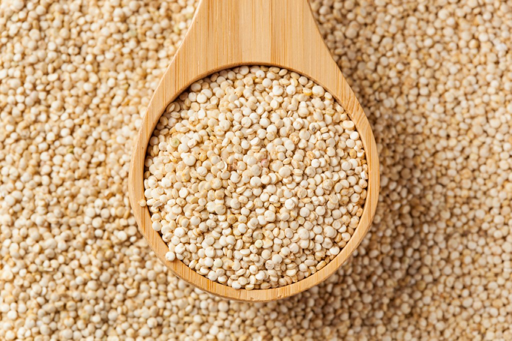 quinoa e rico em proteinas e baixo teor de gordura