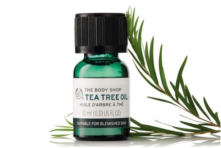óleo da árvore do chá para tratar acne