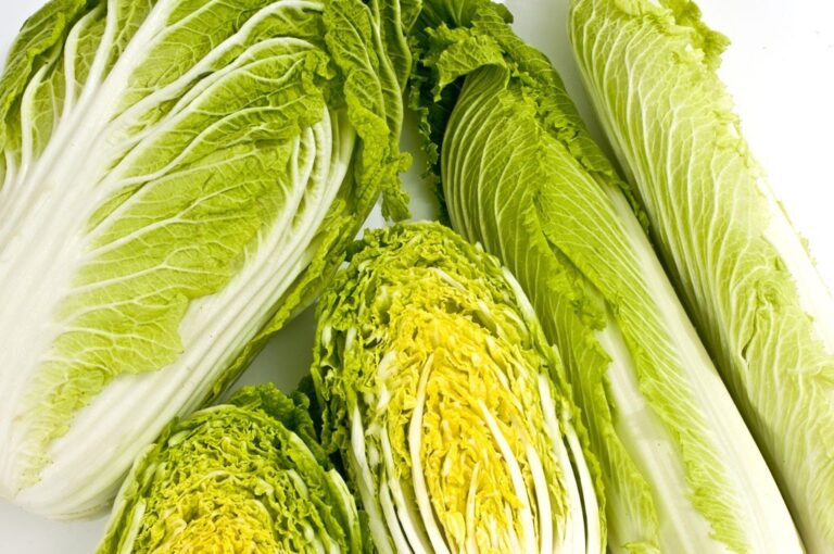 15 tipos de alface e folhas verdes mais saudáveis | Dicas de Saúde