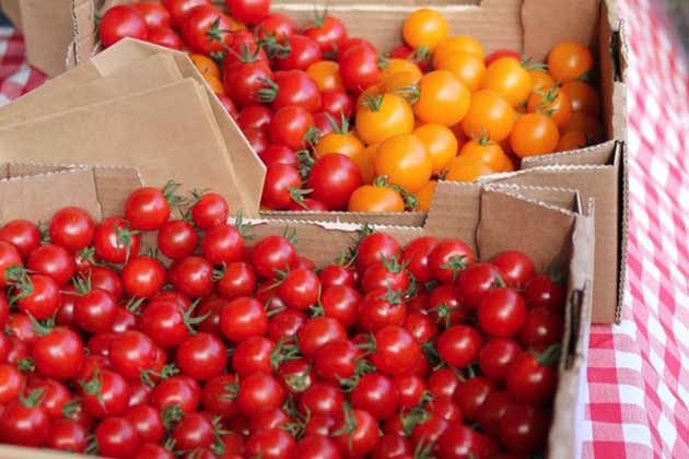 tomate causa refluxo gastroesofagico