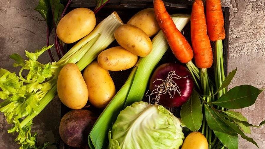 verduras para perder peso