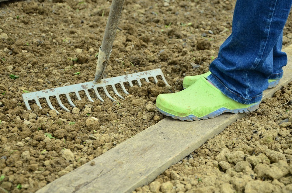 a jardinagem pode ser o seu exercício físico