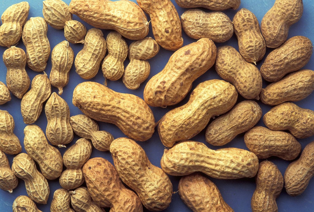 amendoim possui baixo teor de carboidrato