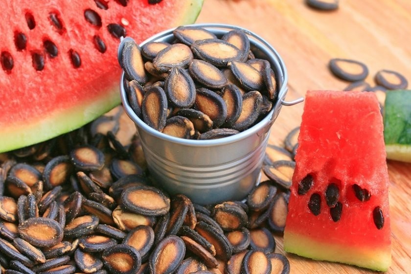 as sementes de melancia podem ser úteis no controle do diabetes