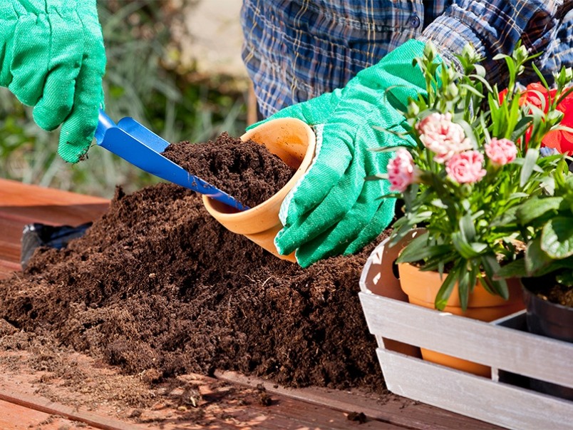 benefícios da jardinagem para saúde