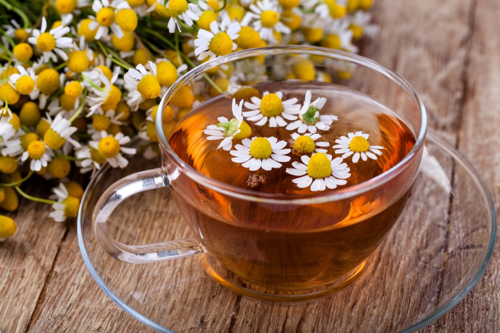 chá de camomila pode ser usado para relaxar