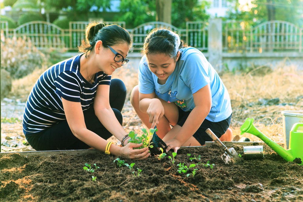 na sujeira da jardinagem contem um antidepressivo