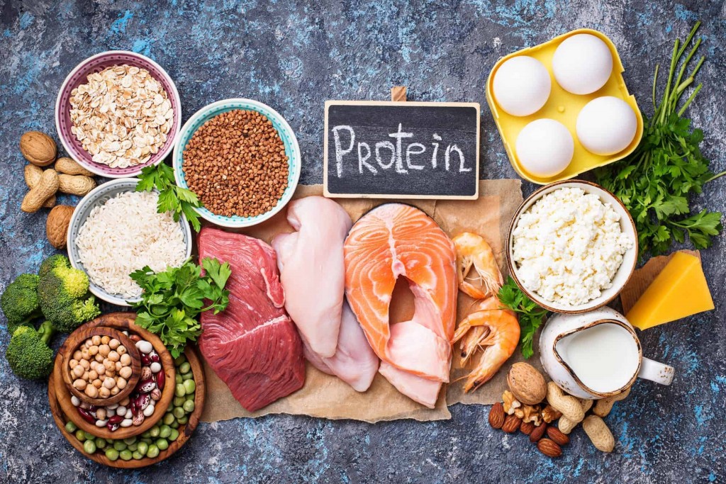 principais alimentos ricos em proteínas