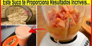 receitas de batido de mamão para derreter gordura