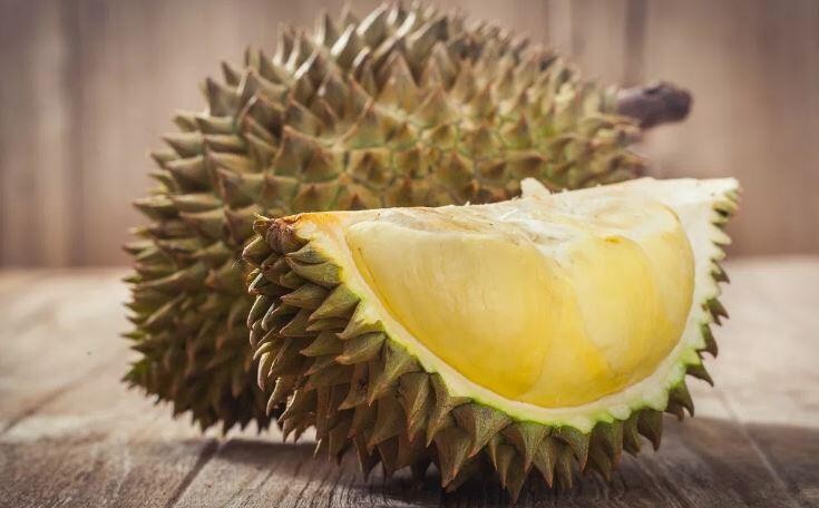 durian fruta