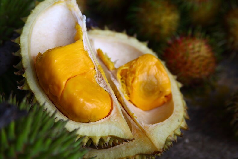 durian