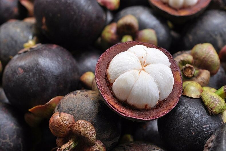 mangostao e uma fruta exotica