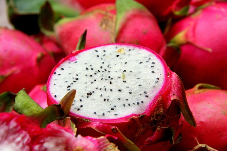 pitaya e uma fruta exotica