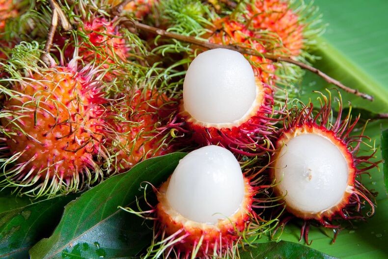 rambutan e uma fruta exotica