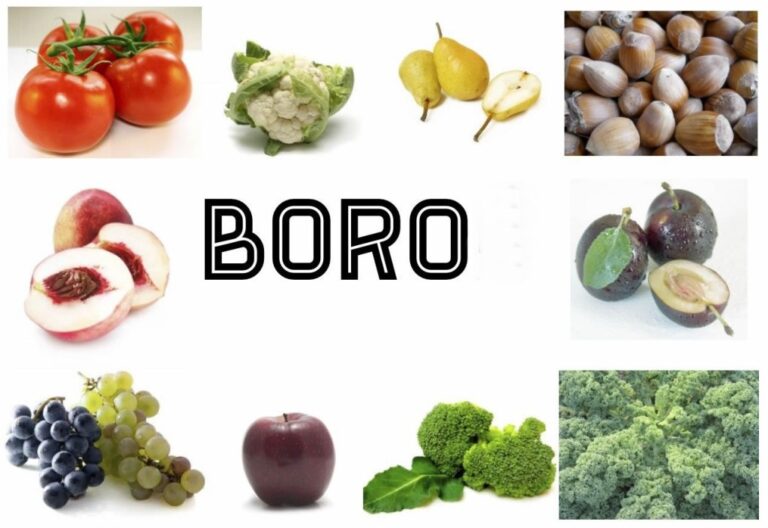 8 benefícios do boro como tomar e para que serve! Dicas de Saúde