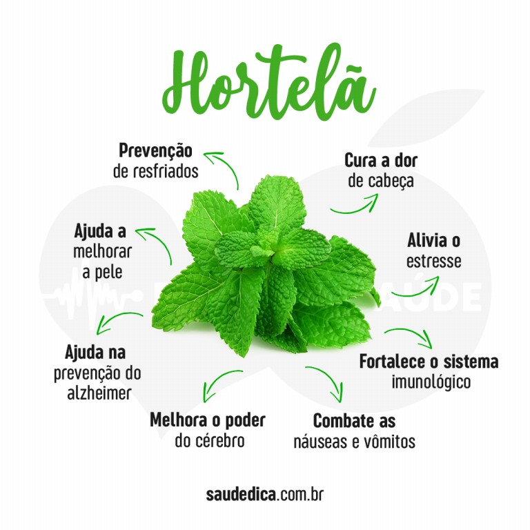 Benefícios da Hortelã